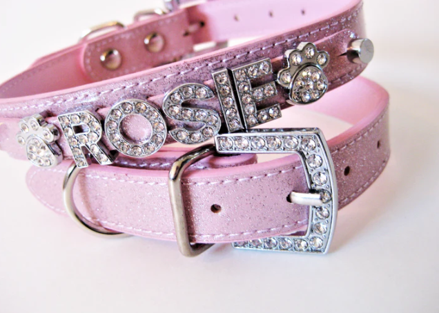 puppy name collar