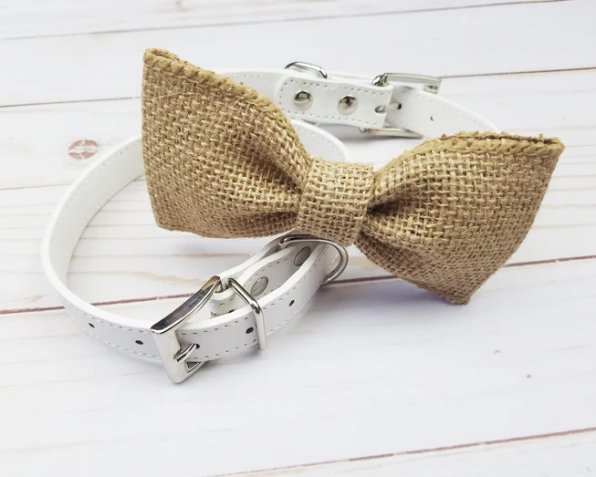 bowtie for dog collar