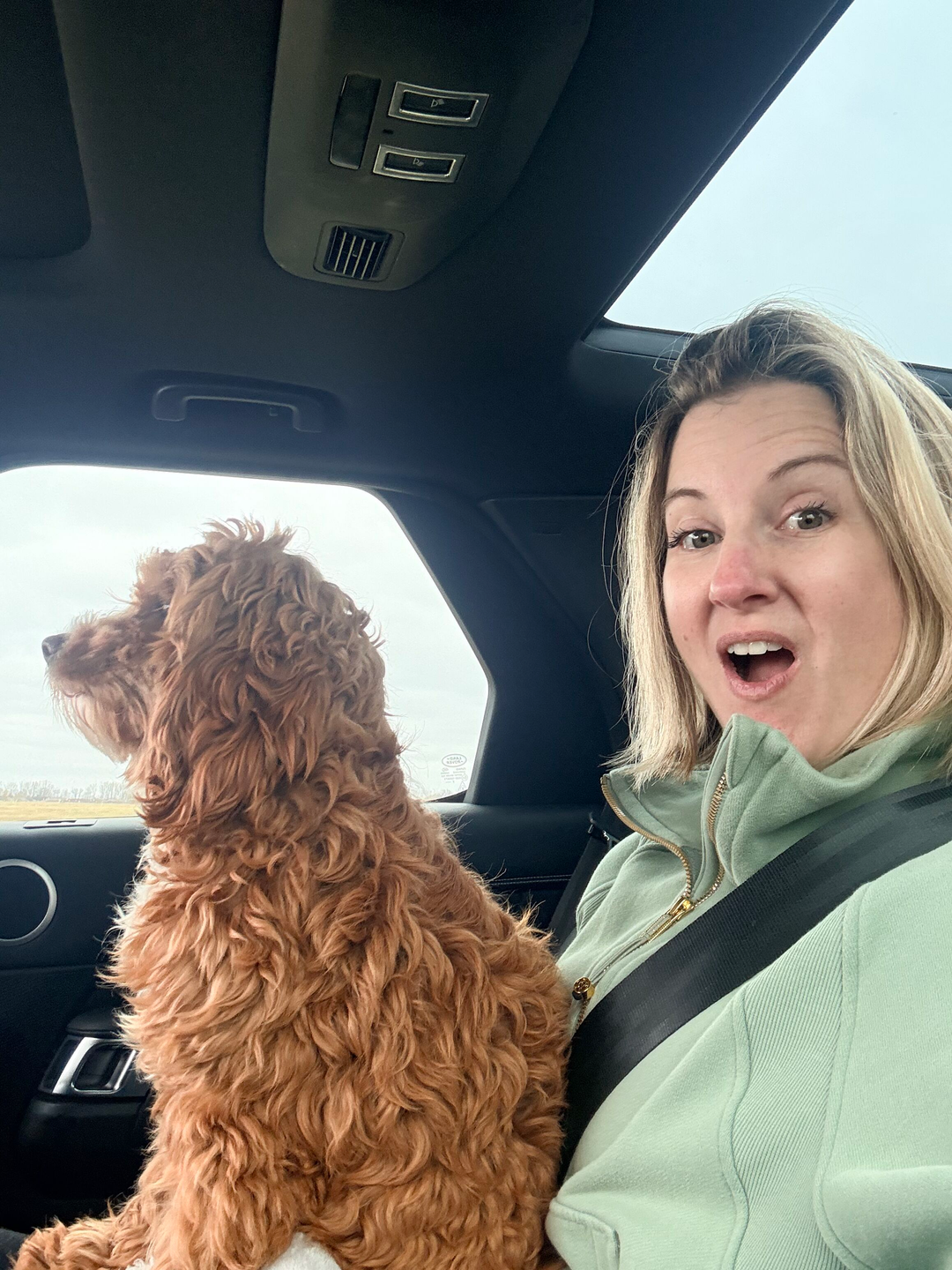 The Puppy Chronicles, No. 1: The Three-Hour Drive Home