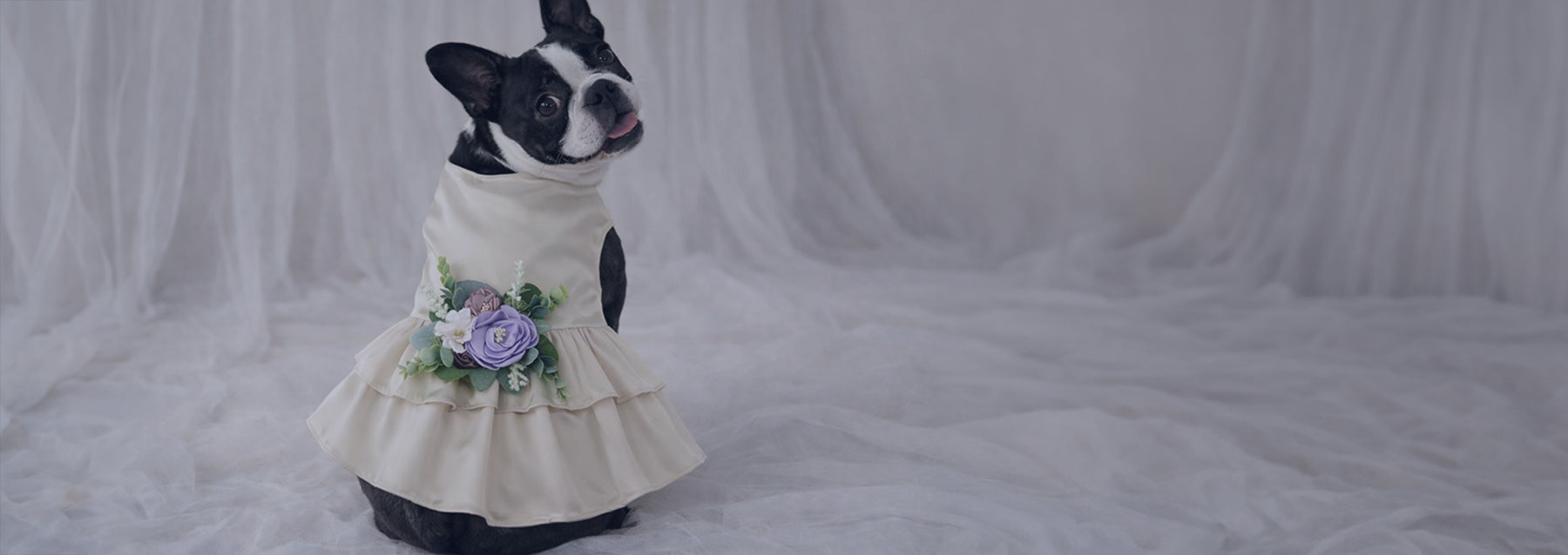 Formal Dresses