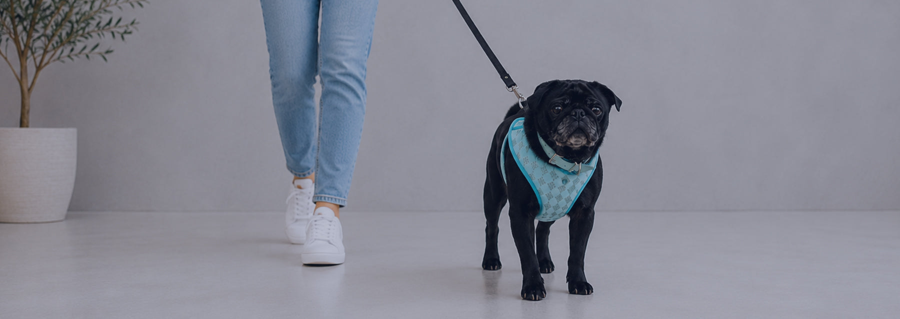 Everyday Harnesses