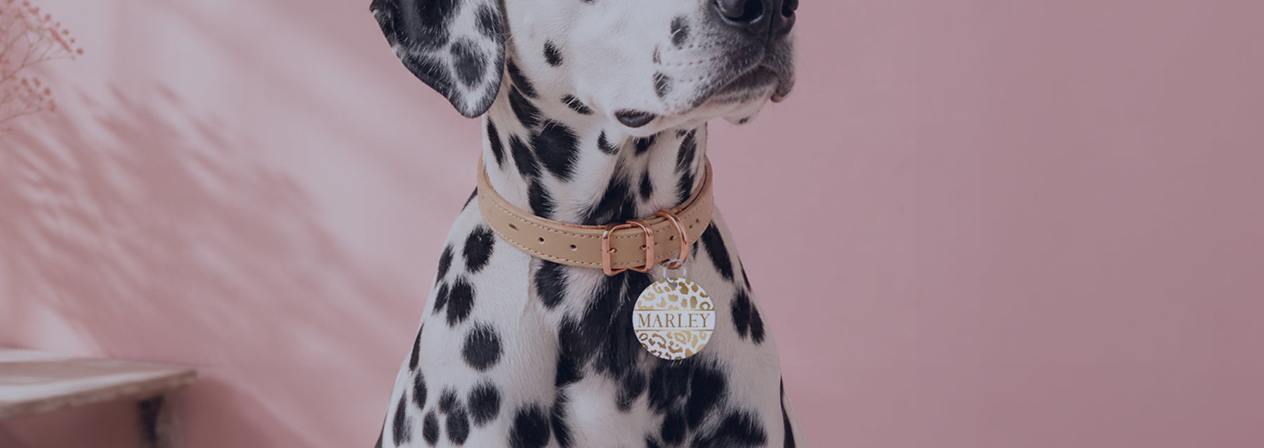 ID Tags