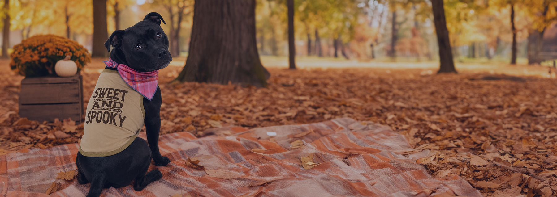 Seasonal Items