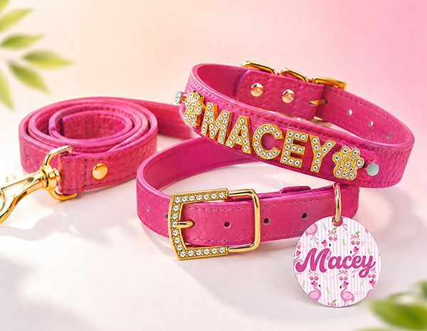 Collar | Pink Flamingo