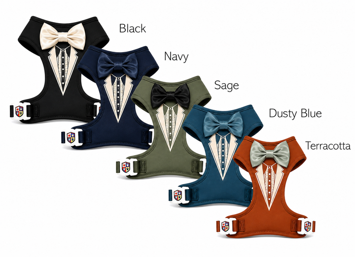 Groove Tuxedo Harness in Black | 30 Bowtie Color Options