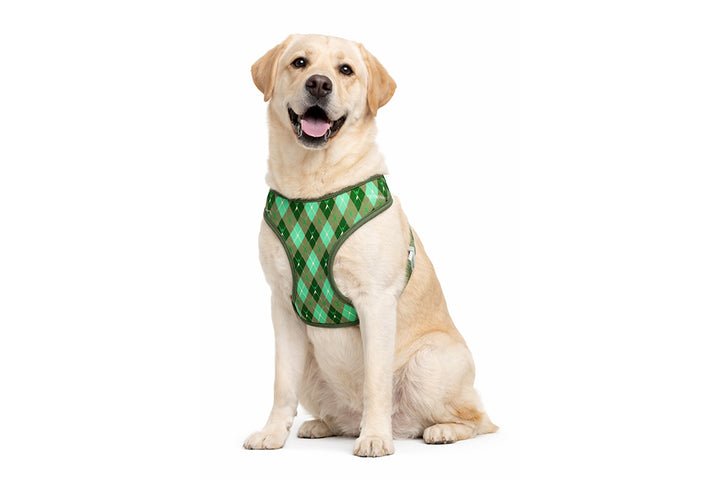 Argyle Clover Harness