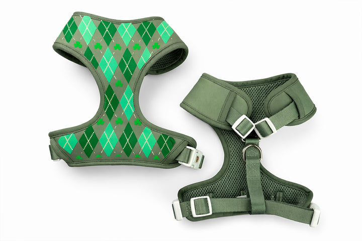 Argyle Clover Harness