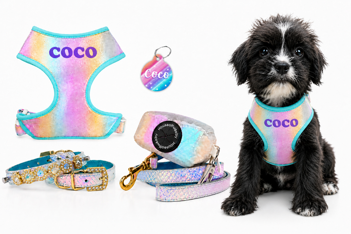 5 Piece Aurora Opal Puppy Bundle