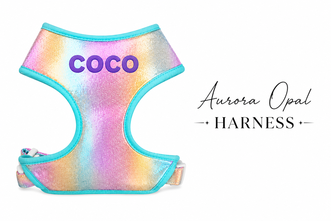 5 Piece Aurora Opal Puppy Bundle