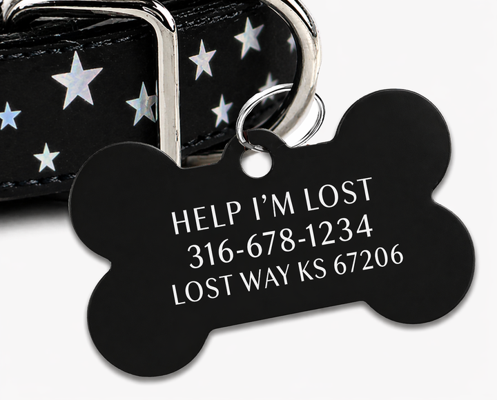 Star Bright Personalized Collar