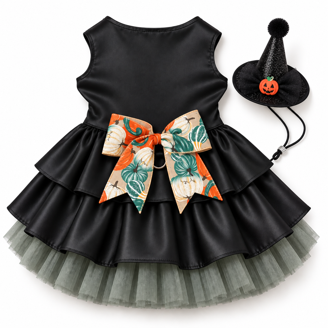 Princess of the Patch Witch Dog Costume