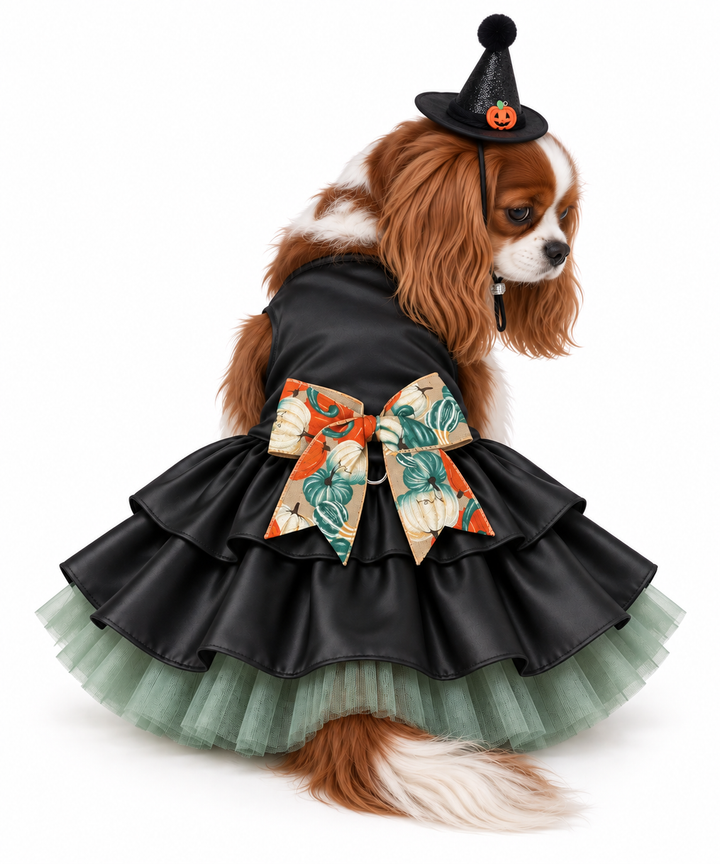 Princess of the Patch Witch Dog Costume