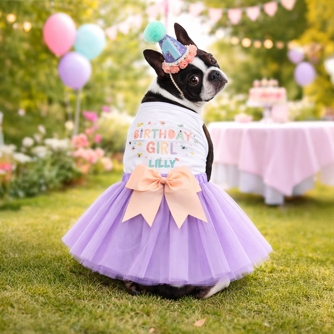 Dog in a birthday-themed outfit with a purple skirt and party hat, standing outdoors with balloons and a cake in the background.