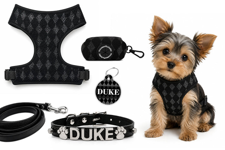 5 Piece Black Diamond Puppy Bundle