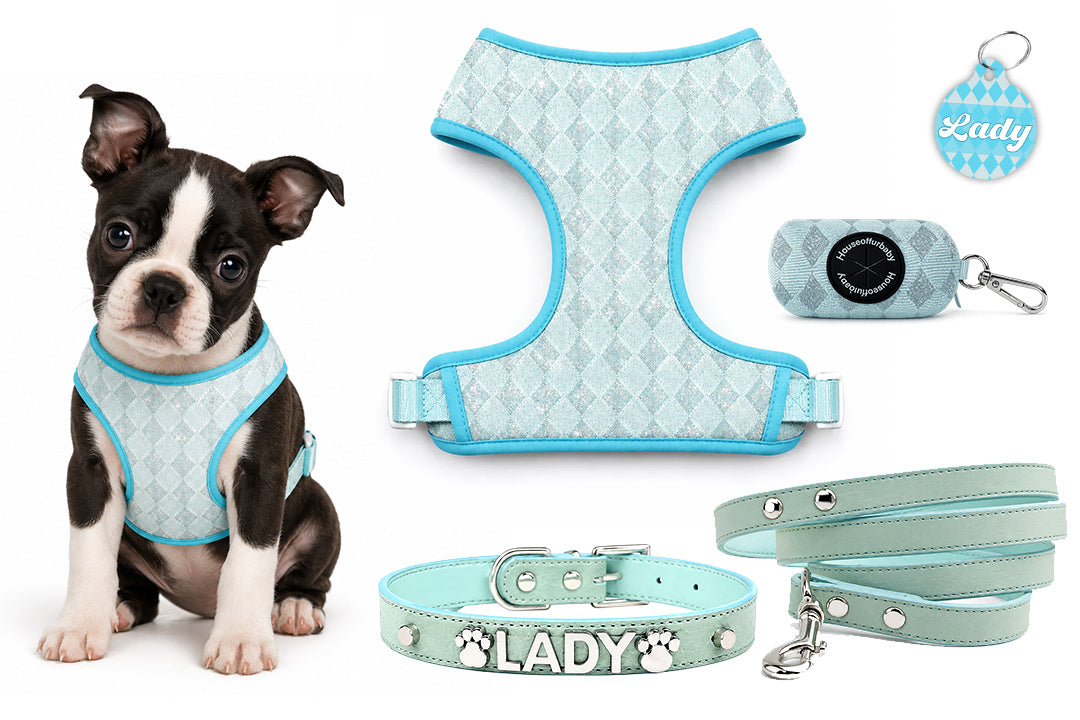 5 Piece Personalized Blue Diamond Puppy Bundle