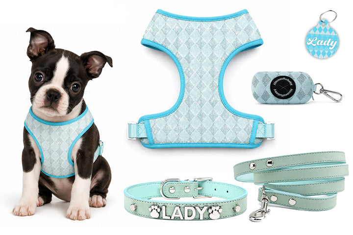 5 Piece Personalized Blue Diamond Puppy Bundle