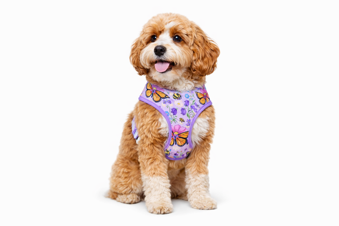 Butterfly Bloom Dog Harness | Garden Print Adjustable Pet Harness