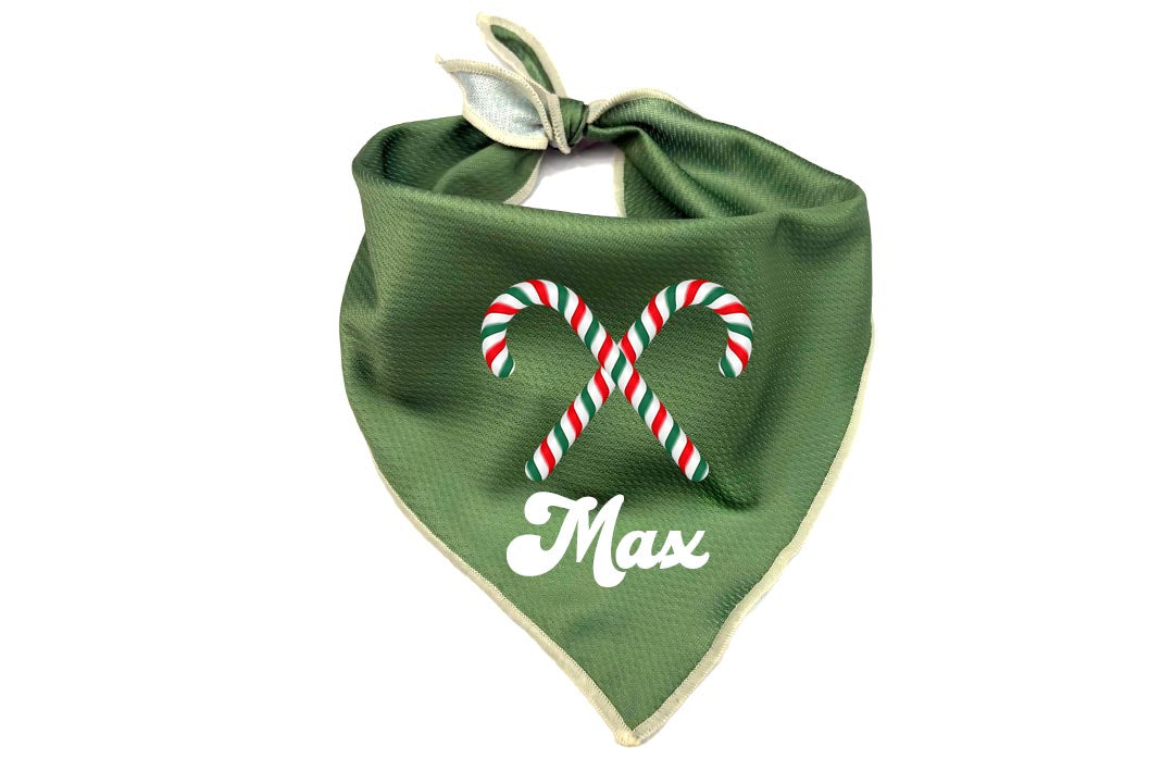 Holiday Dog Bandana | Personalized Woodland Candy Cane