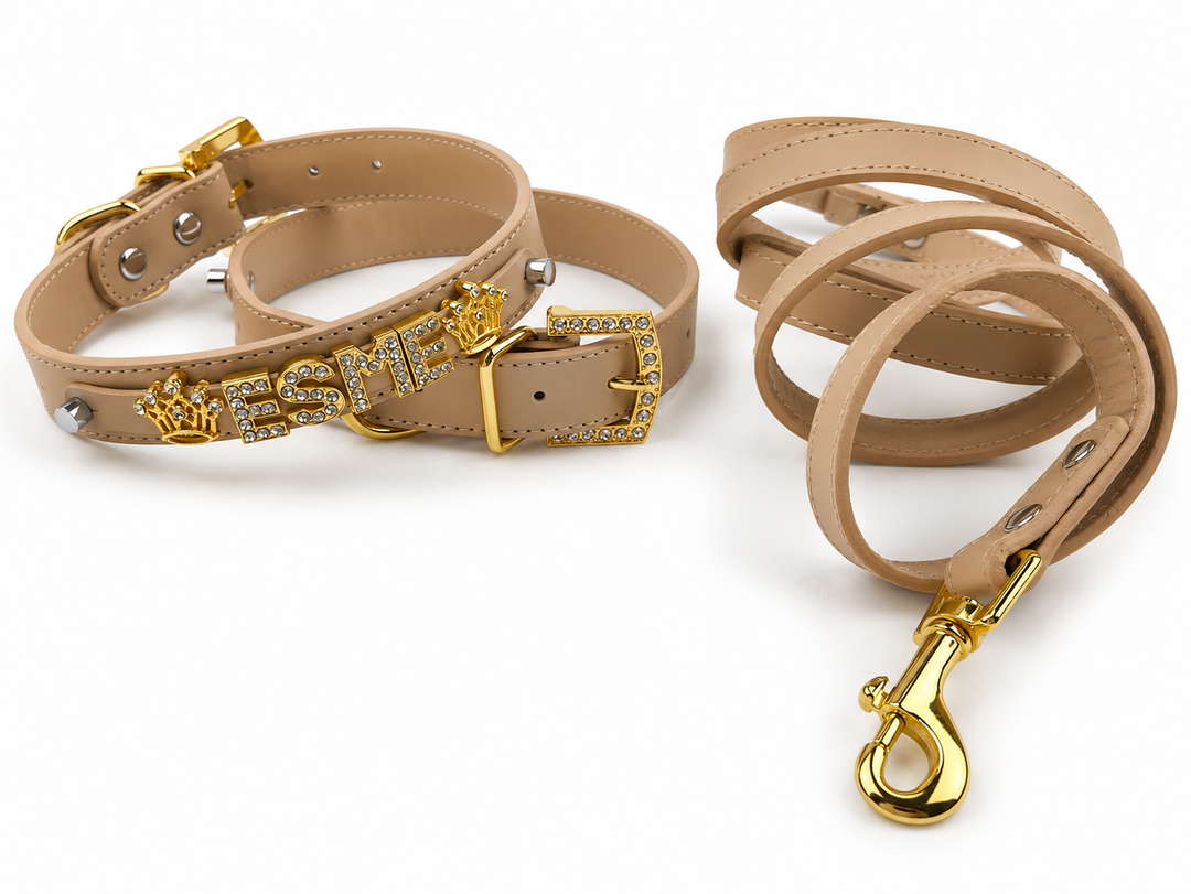 Personalized Collar | Sand and Gold