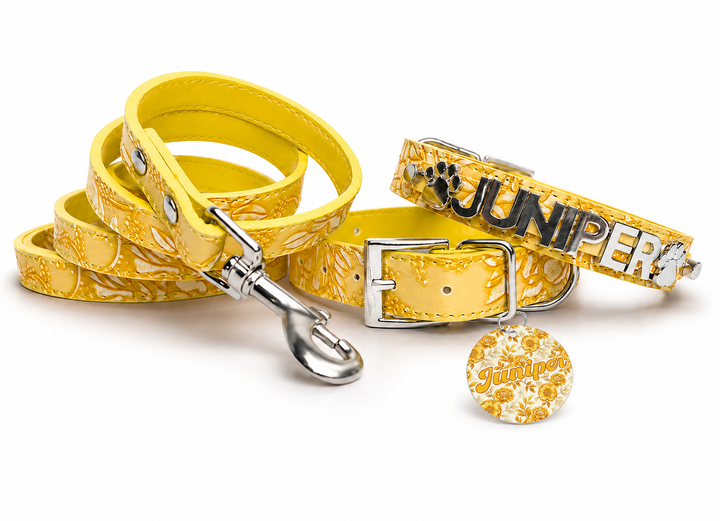 Garden Goldenrod Pet Collar