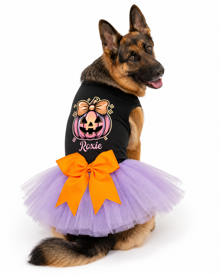 Halloween Dog  Costume | Coquette Pumpkin