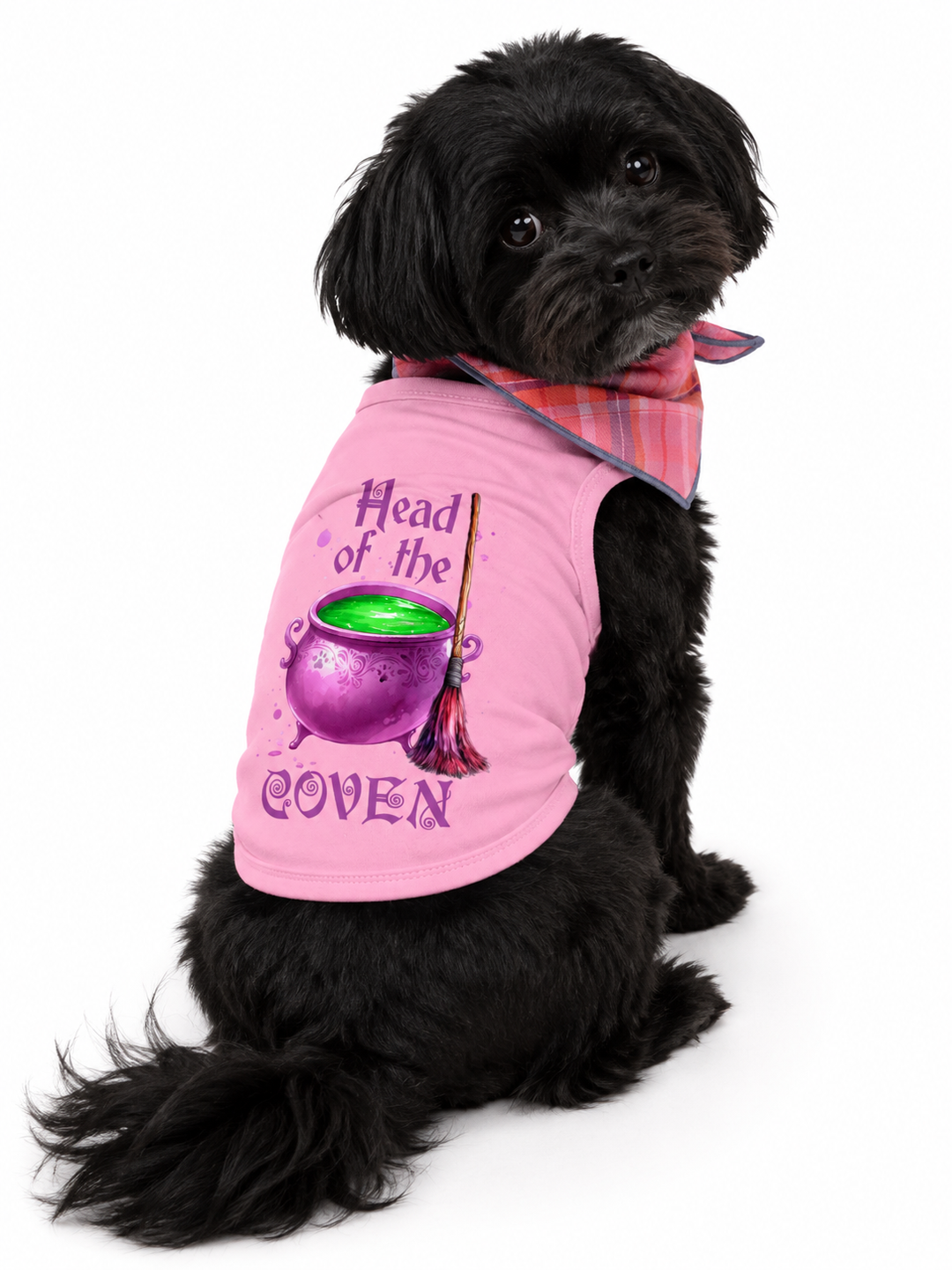 Halloween Dog Bandana Costume | Head Of The Coven