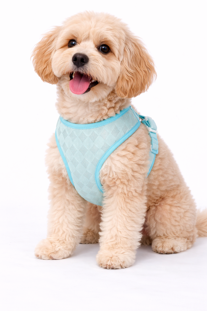 Blue Diamond Sparkle Harness