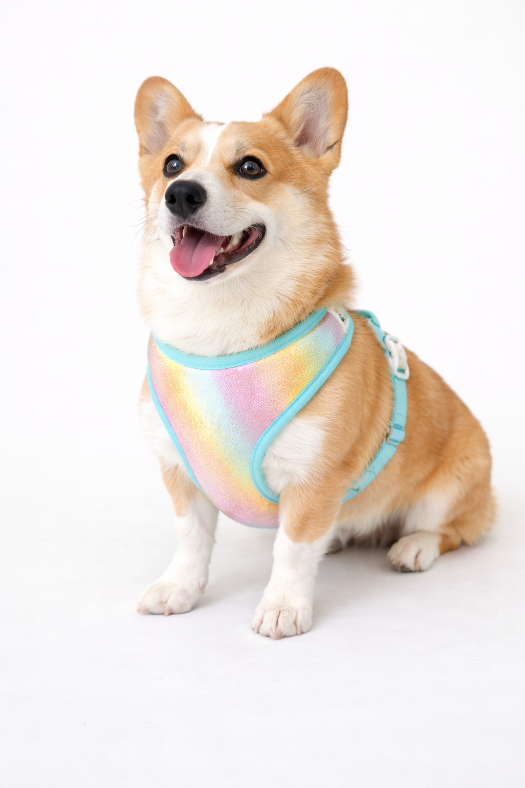 Iridescent Pet Harness