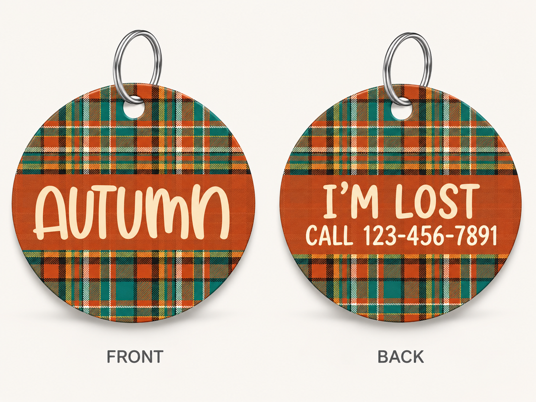 Pumpkin Spice Collar - FREE ID Tag with set purchase!