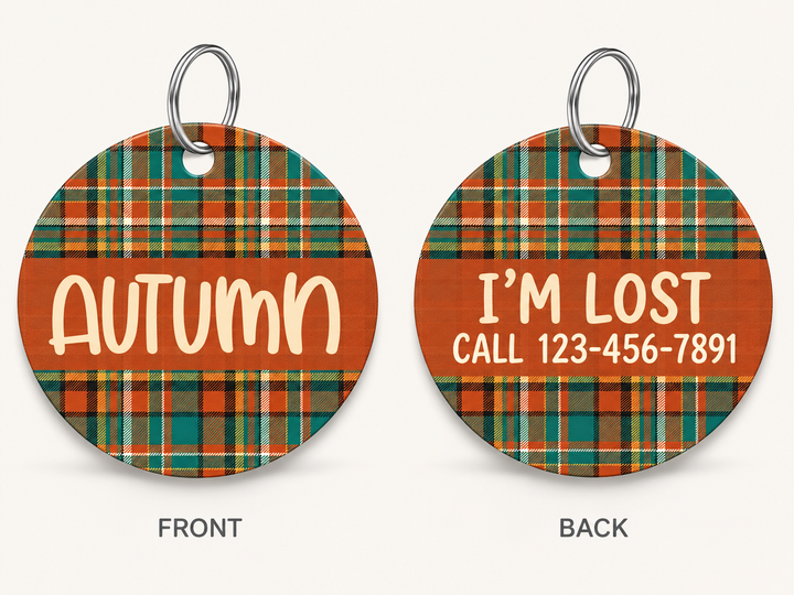 Pumpkin Spice Collar - FREE ID Tag with set purchase!