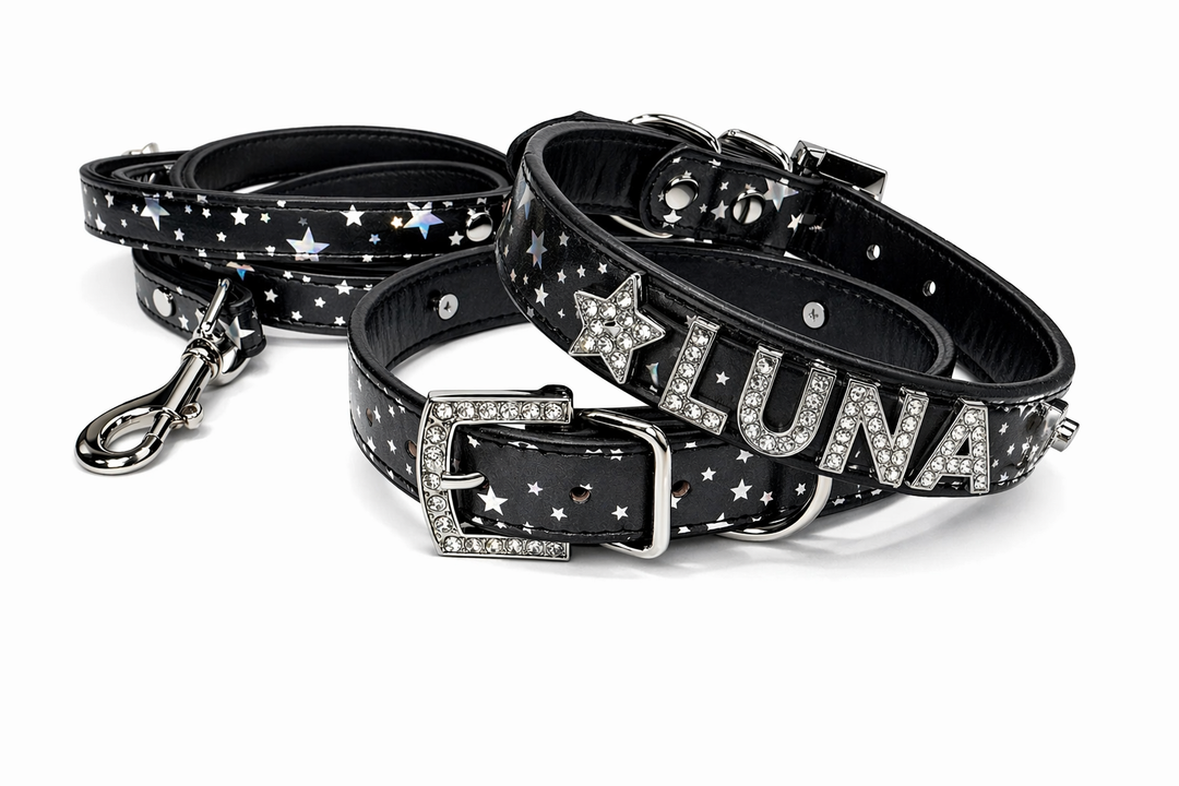 Bright Star Personalized Pet Collar