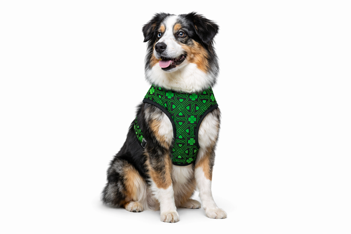 Celtic Green Harness