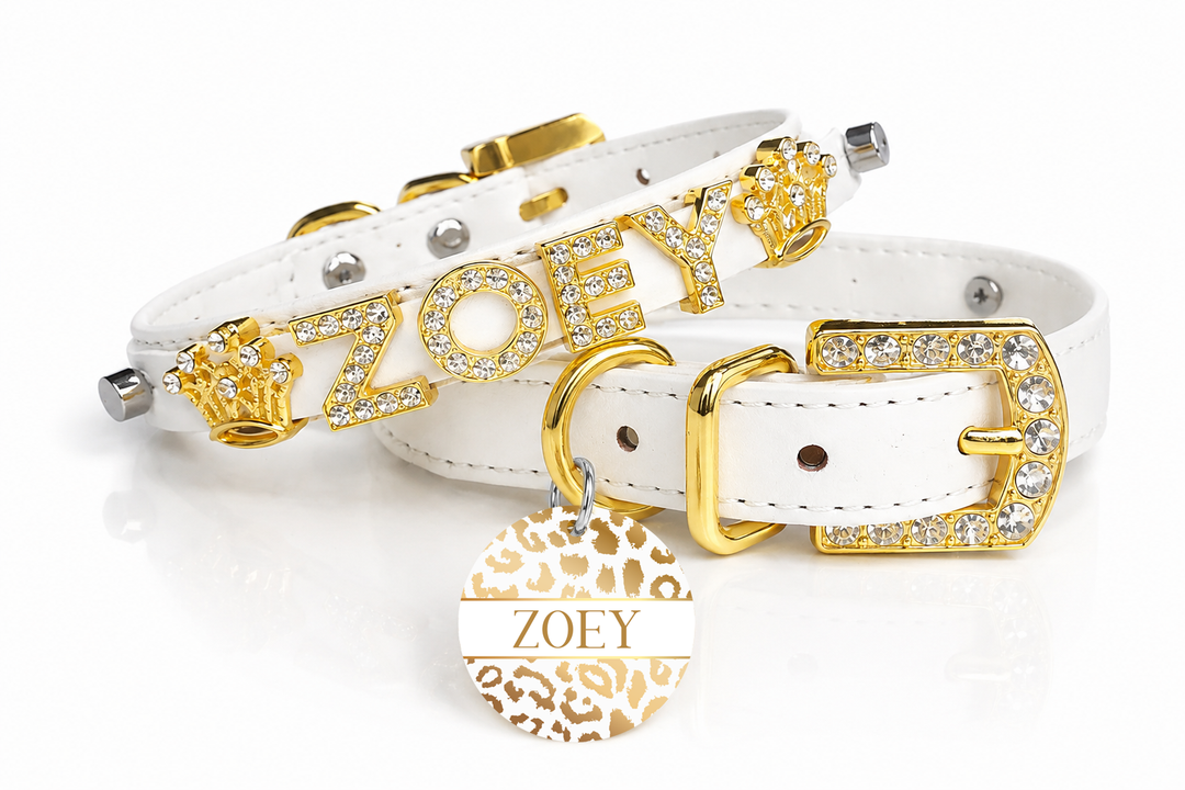 Personalized Collar | White and Gold