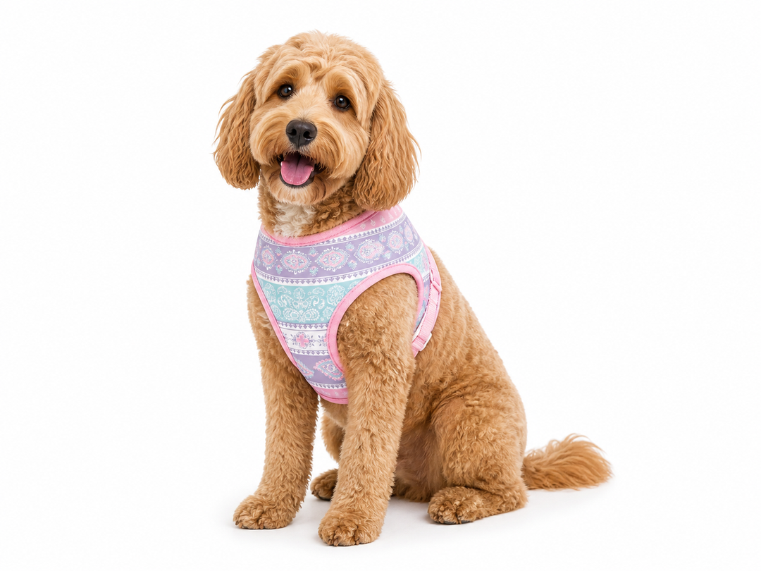 Pastel Paisley Dog Harness | Adjustable Pet Harness