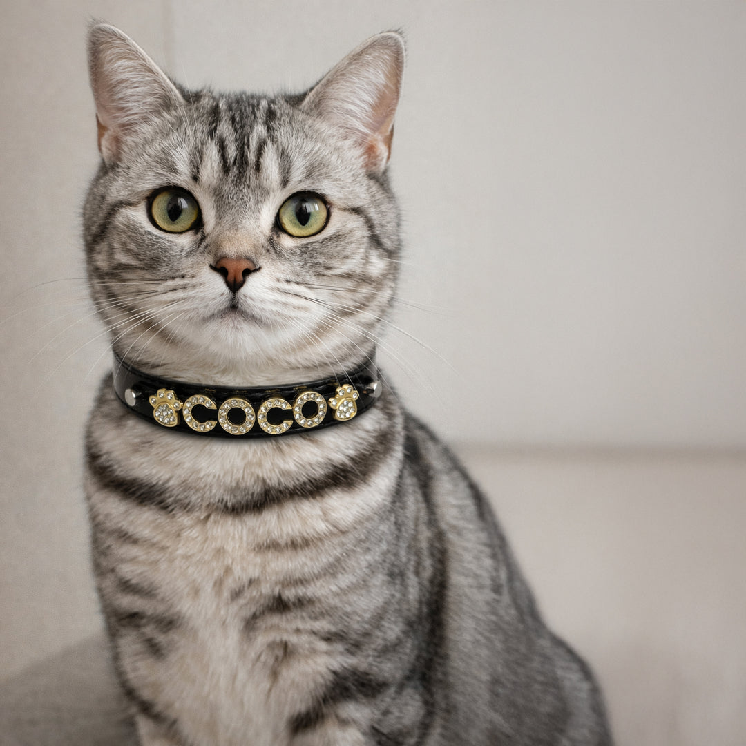 Personalized Collar | Black Pebble and Gold