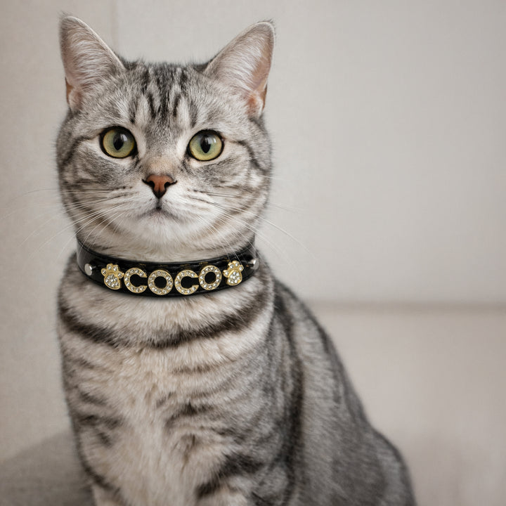 Personalized Collar | Black Pebble and Gold