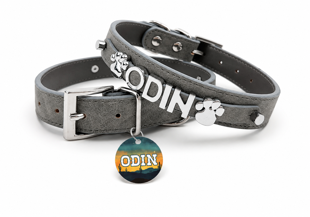 Desert Suedes Pet Collar