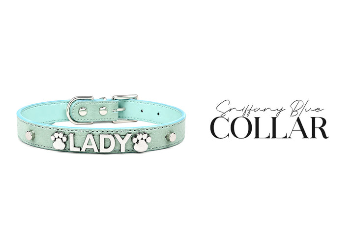 5 Piece Personalized Blue Diamond Puppy Bundle