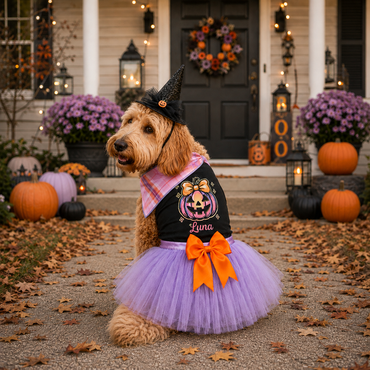 Coquette Pumpkin Halloween Dog Costume