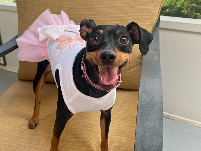 Coquette Birthday Outfit