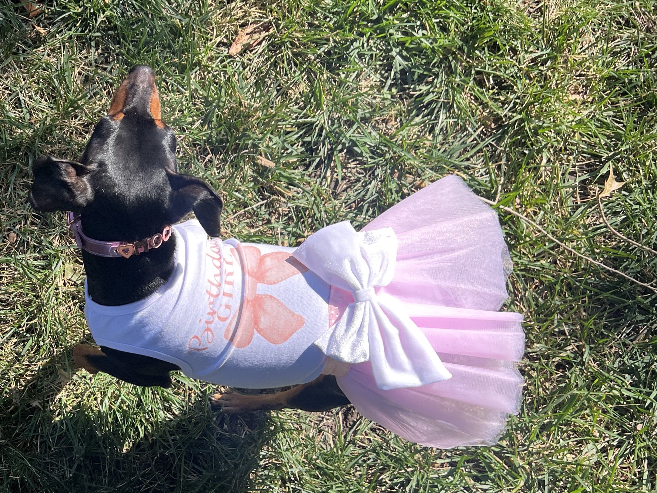 Coquette Birthday Outfit