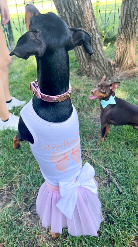 Coquette Birthday Outfit