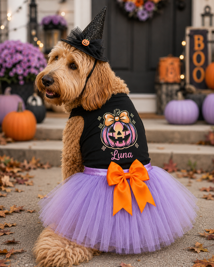 Halloween Dog  Costume | Coquette Pumpkin