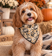 Vintage Gourd Floral Bandana