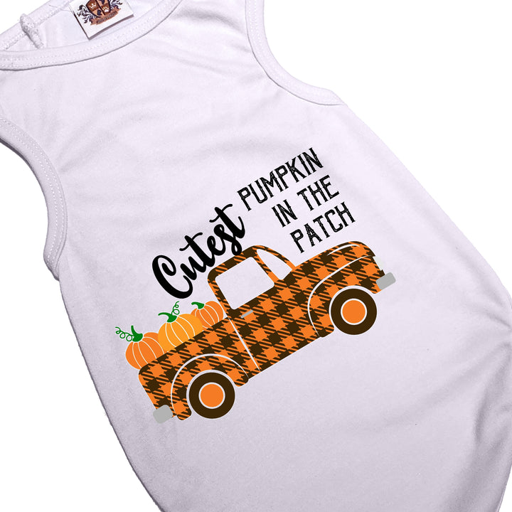 Halloween Dog Outfit | Cutest Pumpkin In The Patch Witch Dog Costume