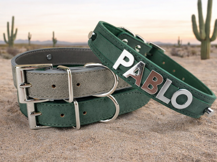 Desert Suedes Pet Collar