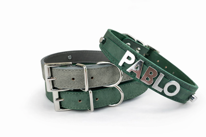 Desert Suedes Pet Collar