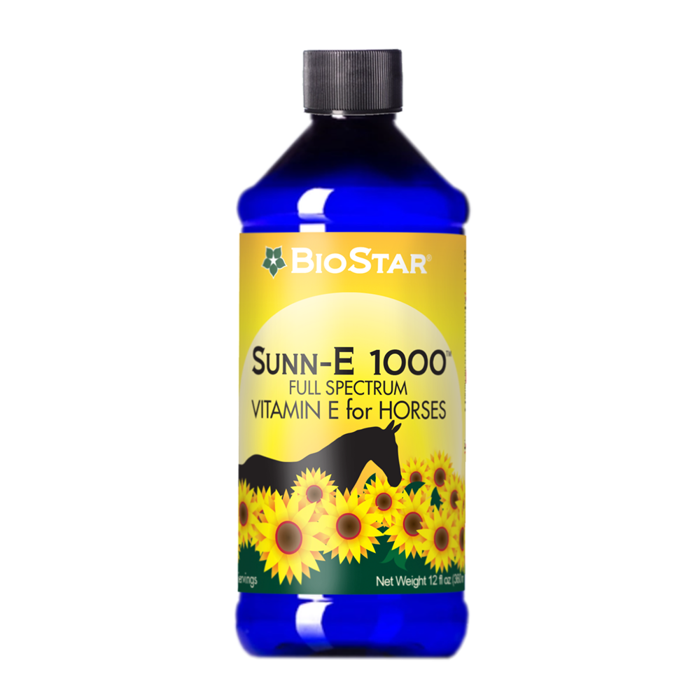 Sunn-E 1000