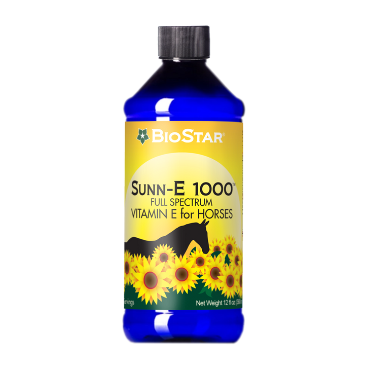 Sunn-E 1000