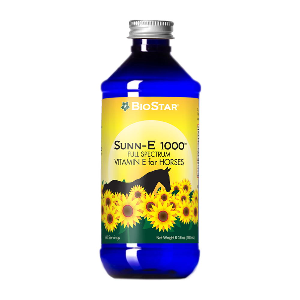 Sunn-E 1000